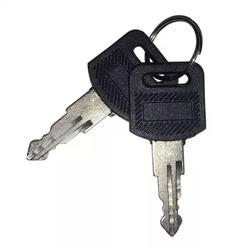 Chave de fecho EFB Elektronik 102115.4 para acessórios de rack, preto, IP55, pack de 2