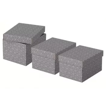 Caixa de arrumação Esselte 628281 cinzento retangular 200x255x150 mm