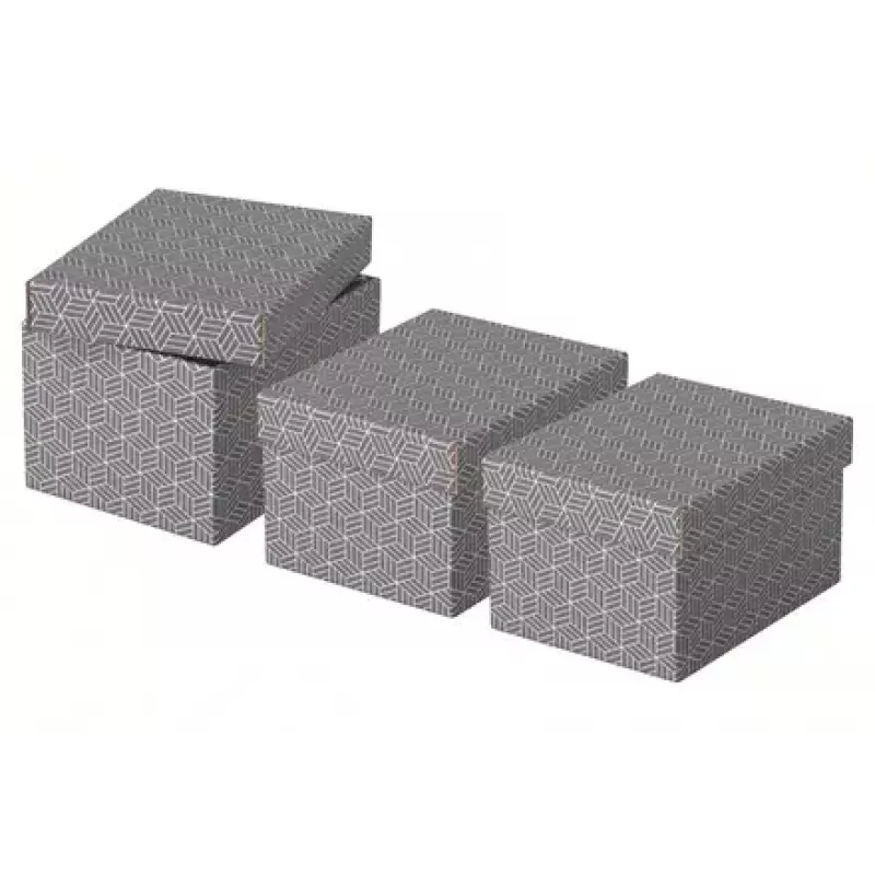 Caixa de arrumação Esselte 628281 cinzento retangular 200x255x150 mm