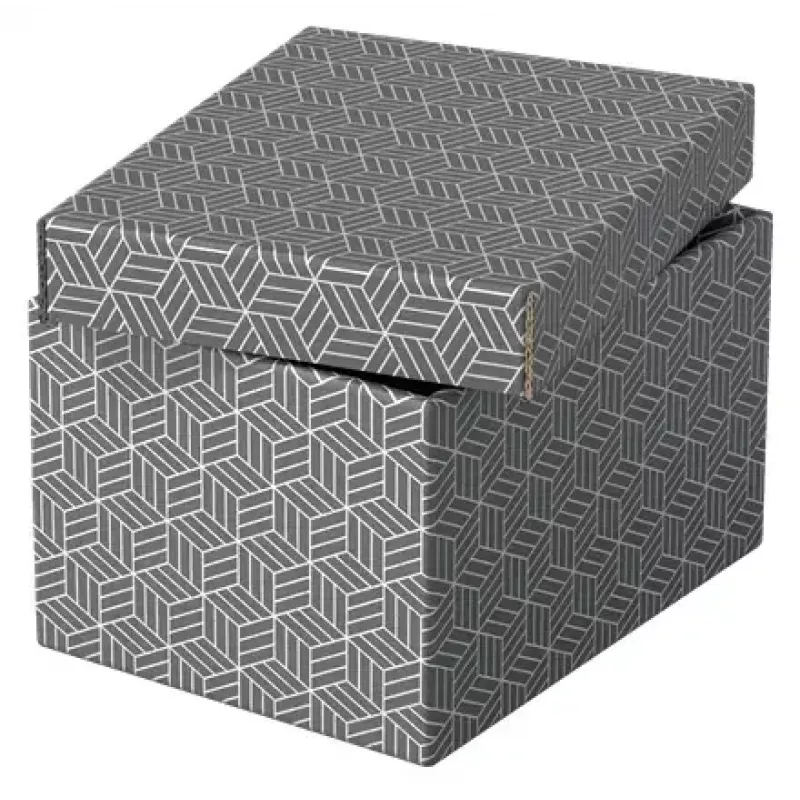 Caixa de arrumação Esselte 628281 cinzento retangular 200x255x150 mm