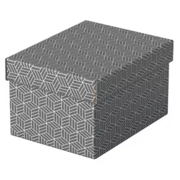 Caixa de arrumação Esselte 628281 cinzento retangular 200x255x150 mm