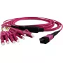 Grafenthal GTOM4MPOU4LCU01500 Cabo patch OM4 MPO para 4xLC 15 m