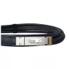Cabo DAC BlueOptics PAN-QSFPDD-DAC-1M-BL QSFP-DD InfiniBand 1 m preto