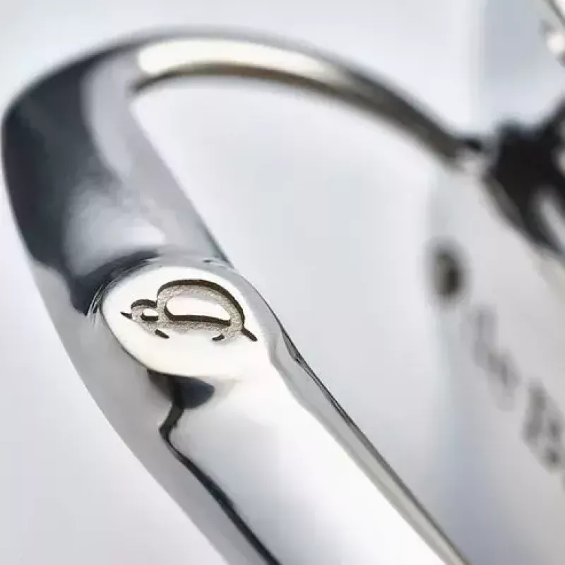 de Buyer Affinity Panela com tampa, 28 cm, aço inoxidável