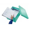 Caixa de armazenamento Leitz Click & Store Medium