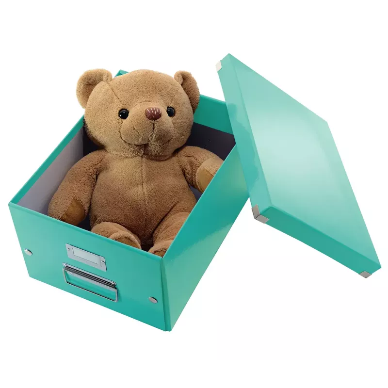 Caixa de armazenamento Leitz Click & Store Medium