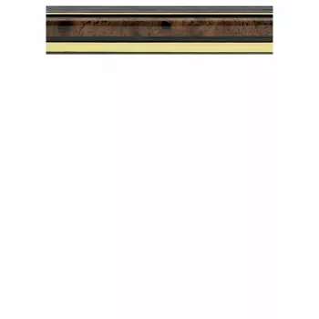 Moldura individual Walther JD318N