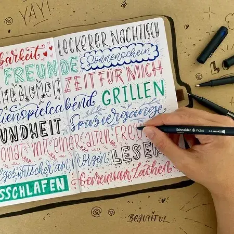 Fineliner Schneider Schreibgeräte Pictus preto azul verde vermelho 5 unid.