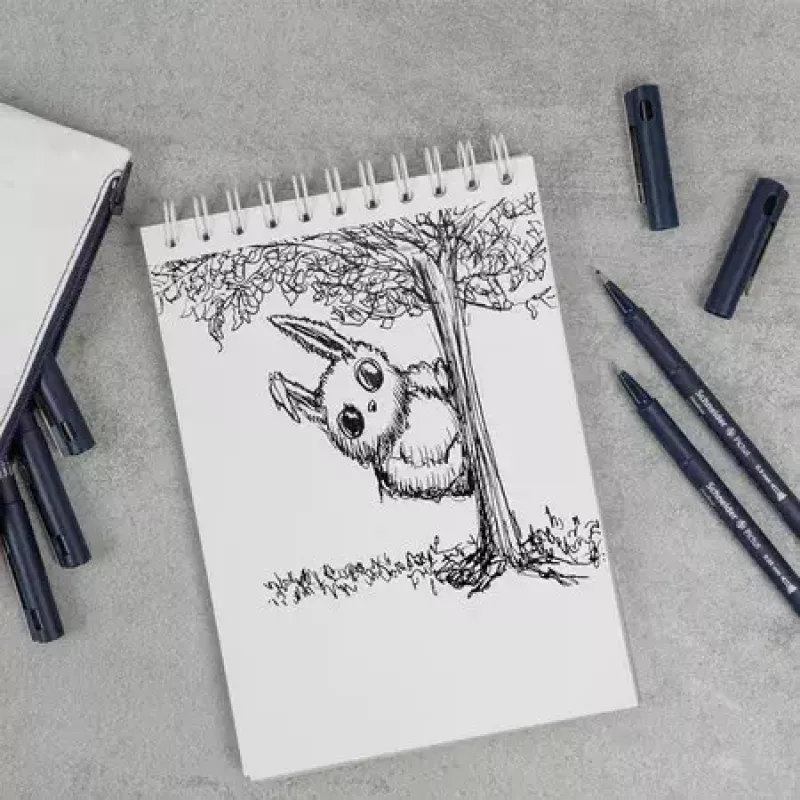 Fineliner Schneider Schreibgeräte Pictus preto azul verde vermelho 5 unid.