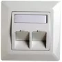 Moldura adaptadora RJ45 Cat.5e Telegärtner H02010A0040 45° dupla 80x80 mm branco alpino