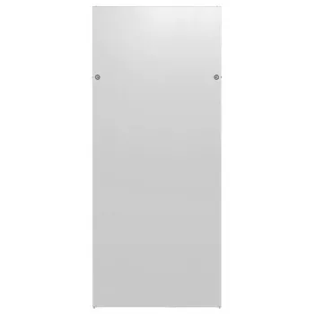 EFB Elektronik PRO-W420E.GR painel lateral para armários PRO 42U, 1000 mm de profundidade, cinzento claro (RAL7035)