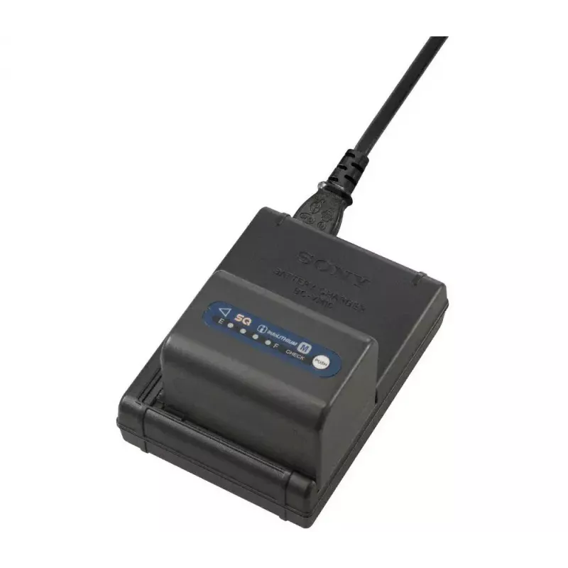 Carregador Sony BC-VM10