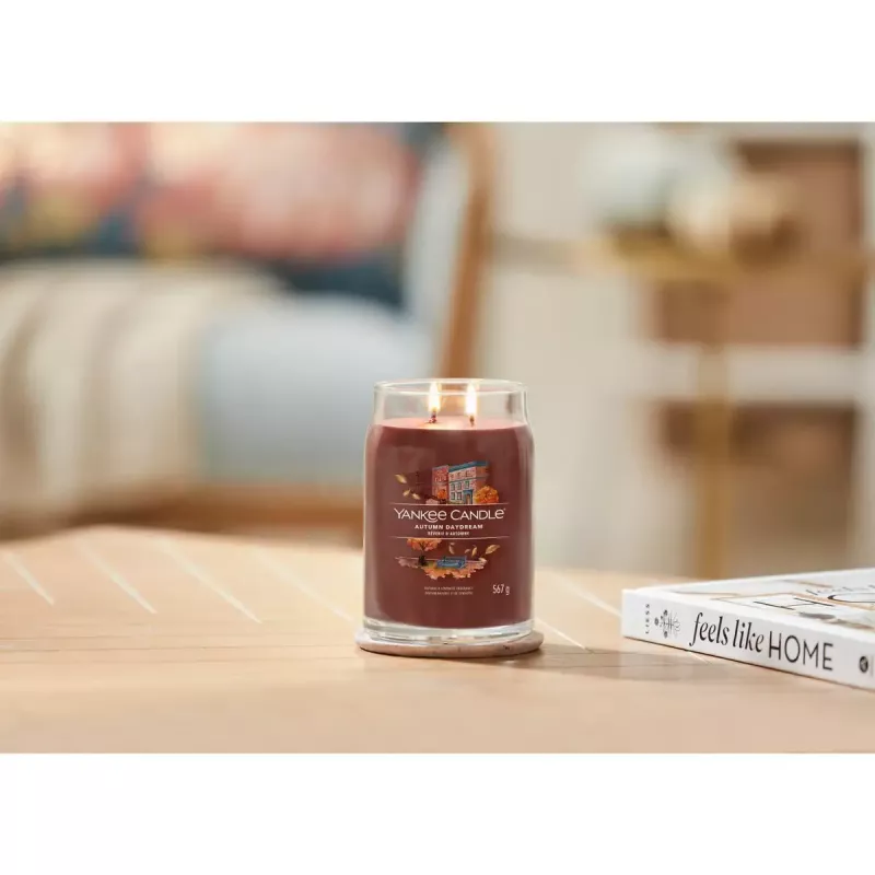 Vela Yankee Candle 1743378E vermelho 157 mm de altura 9,3 cm de diâmetro 567 g