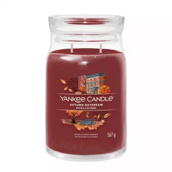 Vela Yankee Candle 1743378E vermelho 157 mm de altura 9,3 cm de diâmetro 567 g