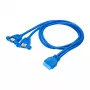 Cabo adaptador interno USB 3.0 Akyga AK-CA-62, conector de 19 pinos para 2 x conector fêmea USB-A, 0,65 m