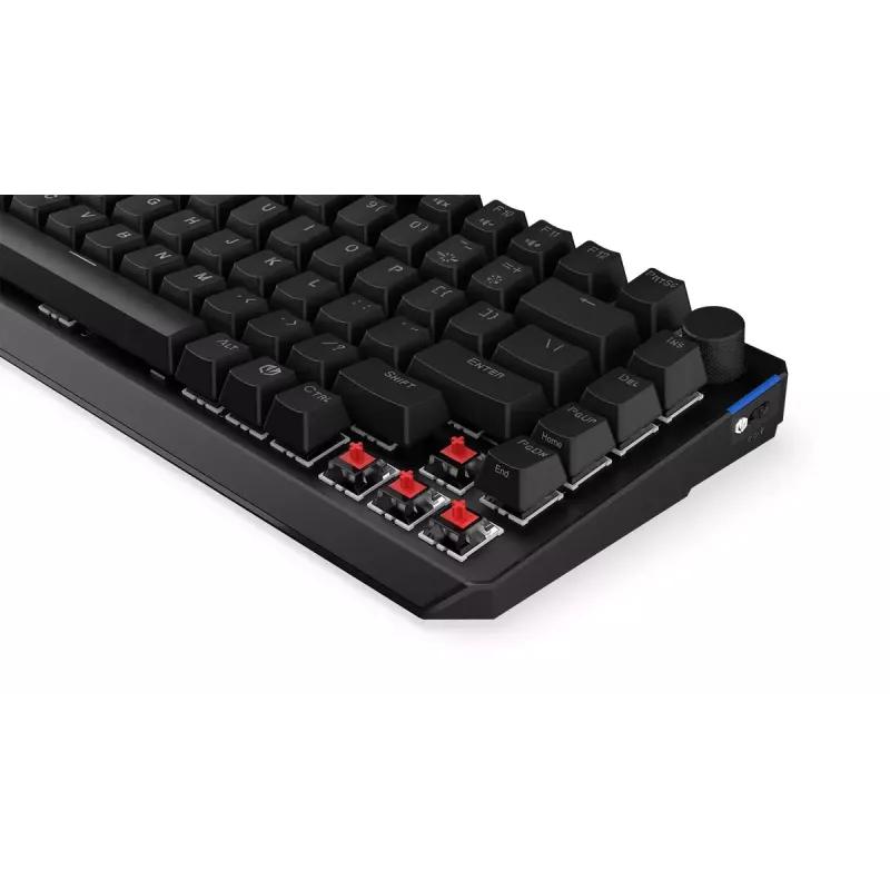 Teclado mecânico ENDORFY Thock 75% Wireless Red RGB LED preto
