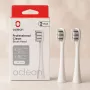 Cabeças de escova de dentes de substituição OCLEAN P1C10 cinzento, 2 unid.