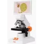 Microscópio digital MatataLab MatataStudio MT3-4 – modelo MT3-4 microscópio digital