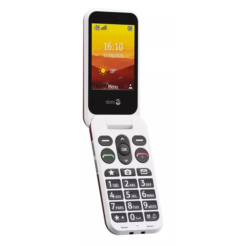 Telemóvel básico Doro Leva L21 2,8 polegadas