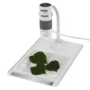 Microscópio digital Carson EFLEX 300x, ampliação 75–300×, câmara 1600×1200, cinzento/branco