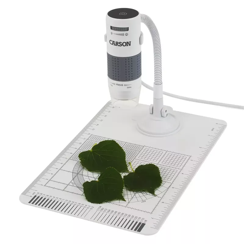 Microscópio digital Carson EFLEX 300x, ampliação 75–300×, câmara 1600×1200, cinzento/branco