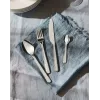 Conjunto de talheres de cozinha ALESSI BG02S24 — conjunto de faca e garfo de mesa, aço inoxidável