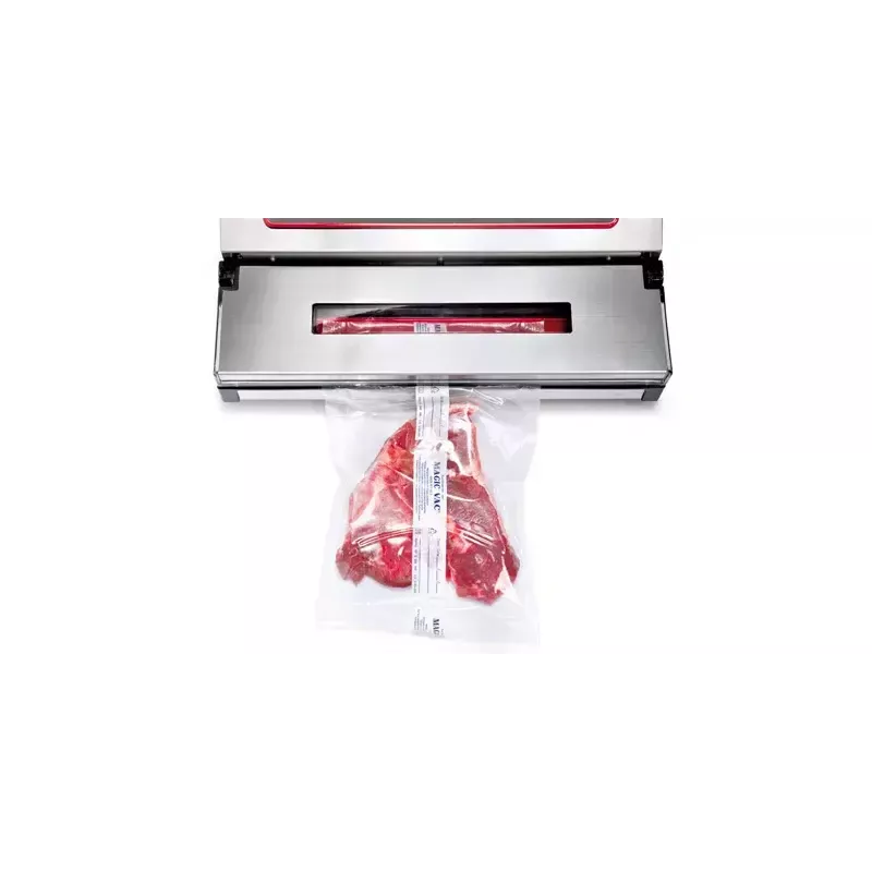 Máquina de vácuo Magic Vac Jumbo 30evo 800 mbar aço inoxidável