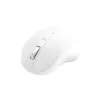 Rato Matias M20W PTB Mac USB-A branco