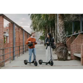 TrotiNet clássico Ninebot by Segway KickScooter F2 Plus D preto 20 km/h 400 W