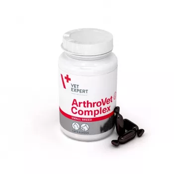 VETEXPERT ArthroVet Collagen raças pequenas - suplemento alimentar para cães e gatos - 60 comprimidos