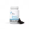 VetExpert NeuroSupport 45 cápsulas.