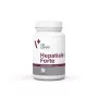 VetExpert Hepatiale Forte raças grandes 40 comprimidos.