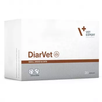 VetExpert Diarvet raças pequenas e gatos 30 cápsulas.