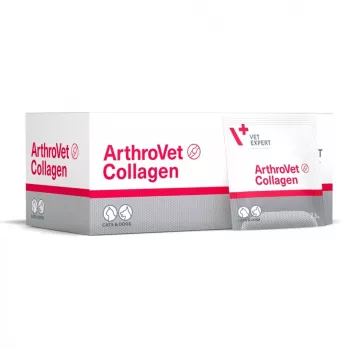 VETEXPERT ArthroVet Collagen - suplemento alimentar para cães e gatos - 60 saquetas
