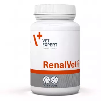 VetExpert RenalVet 60 cápsulas.