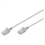 Cabo de rede CAT 6 U-UTP fino, 0,3 m, cinzento