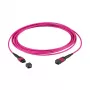 Cabo de patch EFB MTP(F)-MTP(F) OM4 36 fibras Tipo A LSZH violeta heather 20m