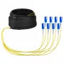Cabo Trunk EFB U-DQ(ZN)BH OS2 8E (1x8) SC-SC 40m Dca LSZH G657A1
