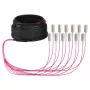 Cabo trunk EFB U-DQ(ZN)BH OM4 12G (1x12) SC-SC 20m Dca LSZH