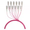 Cabo trunk EFB U-DQ(ZN)BH OM4 12G (1x12) SC-SC 20m Dca LSZH