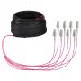 Cabo trunk EFB U-DQ(ZN)BH OM4 8G (1x8) LC-LC 30m Dca LSZH