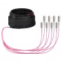 Cabo trunk EFB U-DQ(ZN)BH OM4 8G (1x8) SC-SC 10m Dca LSZH