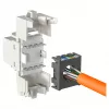 Módulo de entrada RJ-45 modular EFB Elektronik ECOLAN E-20080, branco