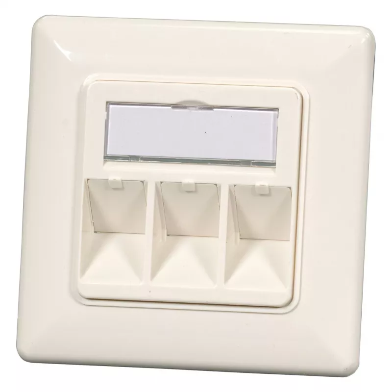 EFB Elektronik Conjunto de moldura Keystone de 2 portas ET-25091 — saída reta DIN49075, RAL9003 branco, moldura 80×80 mm com placa central 50×50 mm
