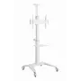 Suporte de TV de chão 37-70/WEISS TVS-70T-02-W Gembird