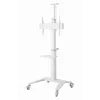 Suporte de TV de chão 37-70/WEISS TVS-70T-02-W Gembird