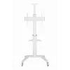 Suporte de TV de chão 37-70/WEISS TVS-70T-02-W Gembird