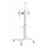 Suporte de TV de chão 37-70/WEISS TVS-70T-02-W Gembird