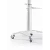 Suporte de TV de chão 37-70/WEISS TVS-70T-02-W Gembird