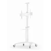 Suporte de TV de chão 37-70/WEISS TVS-70T-02-W Gembird